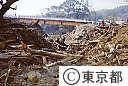 三宅島災害泥流による被害