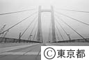 木場公園