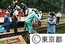 山女魚の放流準備