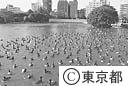 不忍池の渡り鳥