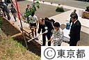 山の植樹祭