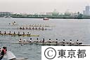 東京みなと祭