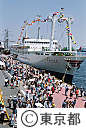 東京みなと祭