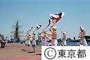 東京みなと祭