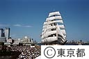 東京みなと祭