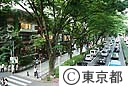 原宿　表参道