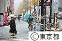 東京に12月の初雪