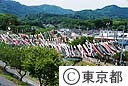 八王子長房のこいのぼり