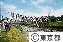 八王子長房のこいのぼり
