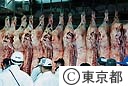 芝浦食肉市場