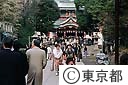 富岡八幡宮 初詣