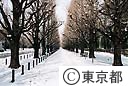 東京雪景色