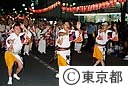 高円寺阿波踊り