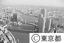 隅田川河畔の高層ビル