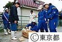 中学生の職場体験（羊の毛刈り）