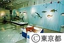 沖ノ鳥島展