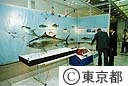 沖ノ鳥島展