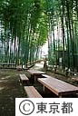 新東京百景　竹林公園