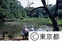 国立自然教育園