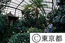 光が丘温室