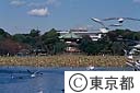 不忍池