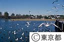 不忍池