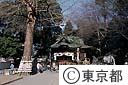 谷保天神