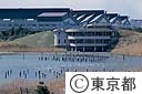 大井野鳥公園