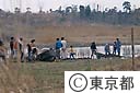 せいたかしぎの繁殖地造り