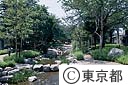 根川緑道