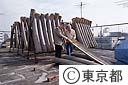 東京琴、原木の乾燥（井上茂氏）