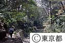 等々力渓谷
