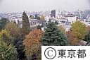 豊島病院を南西より望む