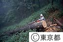 雲取山荘