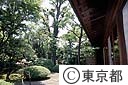 旧知事公館、庭