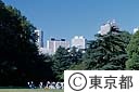 緑と青い空に高層ビル群