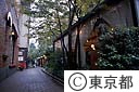 ブラームスの小径