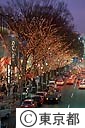 表参道クリスマスイルミネーション