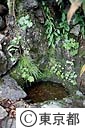 岩から染み出た水滴が落ちる多摩川の最源流、水干（みずひ）