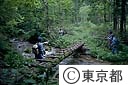 一ノ瀬川で現況測量する、都水道局水源林事務所の職員