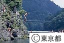 岩の上より多摩川にダイビング
