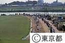多摩川の河川敷でゴルフの練習