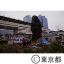 臨海副都心で造成中の公園