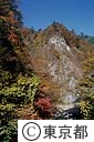 日原川の紅葉