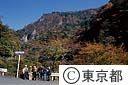 日原川の紅葉