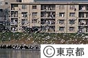 多摩川下流のマンションと無数の渡り鳥
