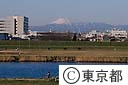 多摩川と富士山