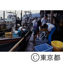 八丈島の漁業