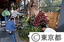 練馬植物園での制作実習