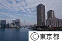 佃大橋から新川大橋と大川端リバーシティ２１